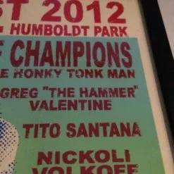 RIOT FEST 2012 Steve Walters Poster Print FRAMED Gogol Bordello FRAMED 14 RIOT FEST 2012 Steve Walters Poster Print FRAMED Gogol Bordello FRAMED