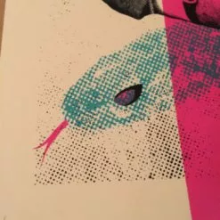 Chicago, IL Ariel Pink's - Delicious Design Poster Print Chicago IL Haunted Graffiti Dallas