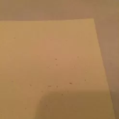 Gig Posters Cold War Kids - 2010 Third Alert Designs Poster Print California Signed And #'d