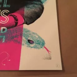 Chicago, IL Ariel Pink's - Delicious Design Poster Print Chicago IL Haunted Graffiti Dallas