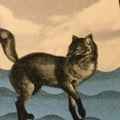 Jack White - 2014 Rob Jones Poster Print Fox Theater Pomona, CA Hand Signed #ed