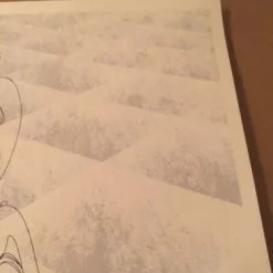 The Appleseed Cast - 3/19/2010 Delicious Design Poster Print Chicago, IL Bottom