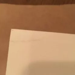 AIIA - Delicious Design Poster Print Chicago, IL Pitchfork Music Festival Union