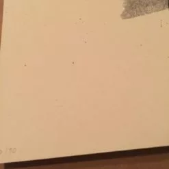 AIIA - Delicious Design Poster Print Chicago, IL Pitchfork Music Festival Union