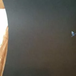 Gig Posters Jack White - 2014 DKNG Poster Print 1st Edition The Fillmore, Charlotte, NC