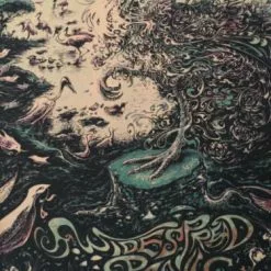 Widespread Panic - Miles Tsang DUSK Poster Print St. Louis MO Peabody Opera Gig Posters