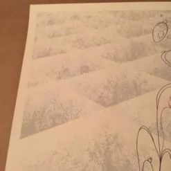 The Appleseed Cast - 3/19/2010 Delicious Design Poster Print Chicago, IL Bottom