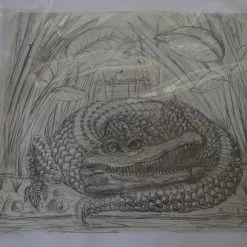 Art Prints The Enormous Crocodile - 2015 Zeb Love Original Sketch Drawing