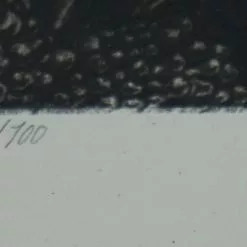 Nightfall - 2016 Andrew Ghrist Poster Print BONES Galerie F #1 Art Prints