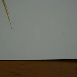 Art Prints Hlökk - 2016 Tyler Stout Poster Print VARIANT BONES Galerie F