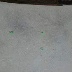 Palynology - Ludo 2016 Screen Printed Poster Signed/numbered Hand Finished