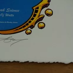 Fool's Paradise - 2016 AJ Masthay Poster St Augustine, FL Gig Posters