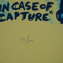 Chicago, IL Nonagon - 2009 Dan Grzeca Poster Chicago Quenchers The Poles