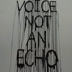 Be A Voice Not An Echo - 2015 Hijack Poster Street Art Brainwash Mr Brainwash