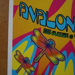 Gig Posters Steve Kimock Band - 2003 Dennis Loren Poster Avalon Ballroom