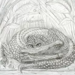 Art Prints The Enormous Crocodile - 2015 Zeb Love Original Sketch Drawing