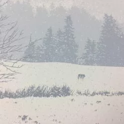 Art Prints The Call Of The Wild - 2011 Dan McCarthy Poster Art Print