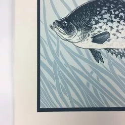 Black Crappie (Pomoxis Nigromaculatus) - 2015 Justin Santora Poster Art Print