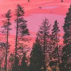 Art Prints Big Birds Flying Across The Sky - 2011 Dan McCarthy Poster Art Print