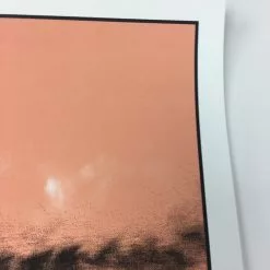 Karen Eilson - 2010 Todd Slater Poster June U.S Tour