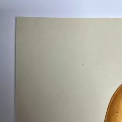 Partisan - 2020 Mike Mitchell Poster Print Food Dudes Potato AP 10 Partisan - 2020 Mike Mitchell Poster Print Food Dudes Potato AP