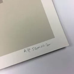 Passing Through (Chicago Series) - 2013 Justin Santora Poster Art Print Art Prints