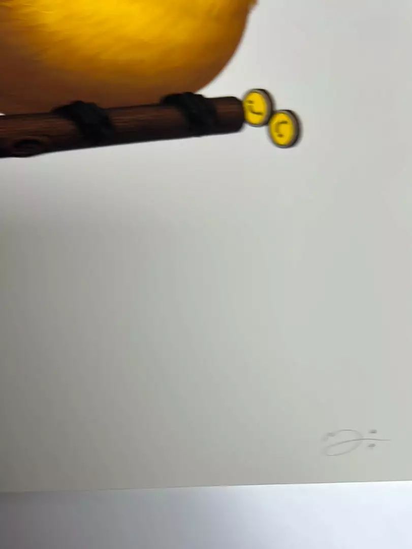 Fat Bird - 2019 Mike Mitchell Poster Wire-tailed Manakin Variant 7 Fat Bird - 2019 Mike Mitchell Poster Wire-tailed Manakin Variant