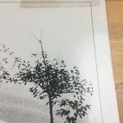 Sold Out Posters Manhattan - 1979 Cinema Poster, Movie Print, Original 13 Sold Out Posters Manhattan - 1979 Cinema Poster, Movie Print, Original