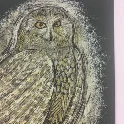 Reconstructed Snowy Owl - Dan Grzeca Poster Art Print Art Prints