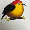 Fat Bird - 2019 Mike Mitchell Poster Wire-tailed Manakin Variant 2 Fat Bird - 2019 Mike Mitchell Poster Wire-tailed Manakin Variant