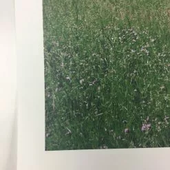 Art Prints Open City - 2011 Dan MacAdam Crosshair Poster Art Print