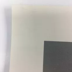 Youth - 2012 Justin Santora Poster Art Print