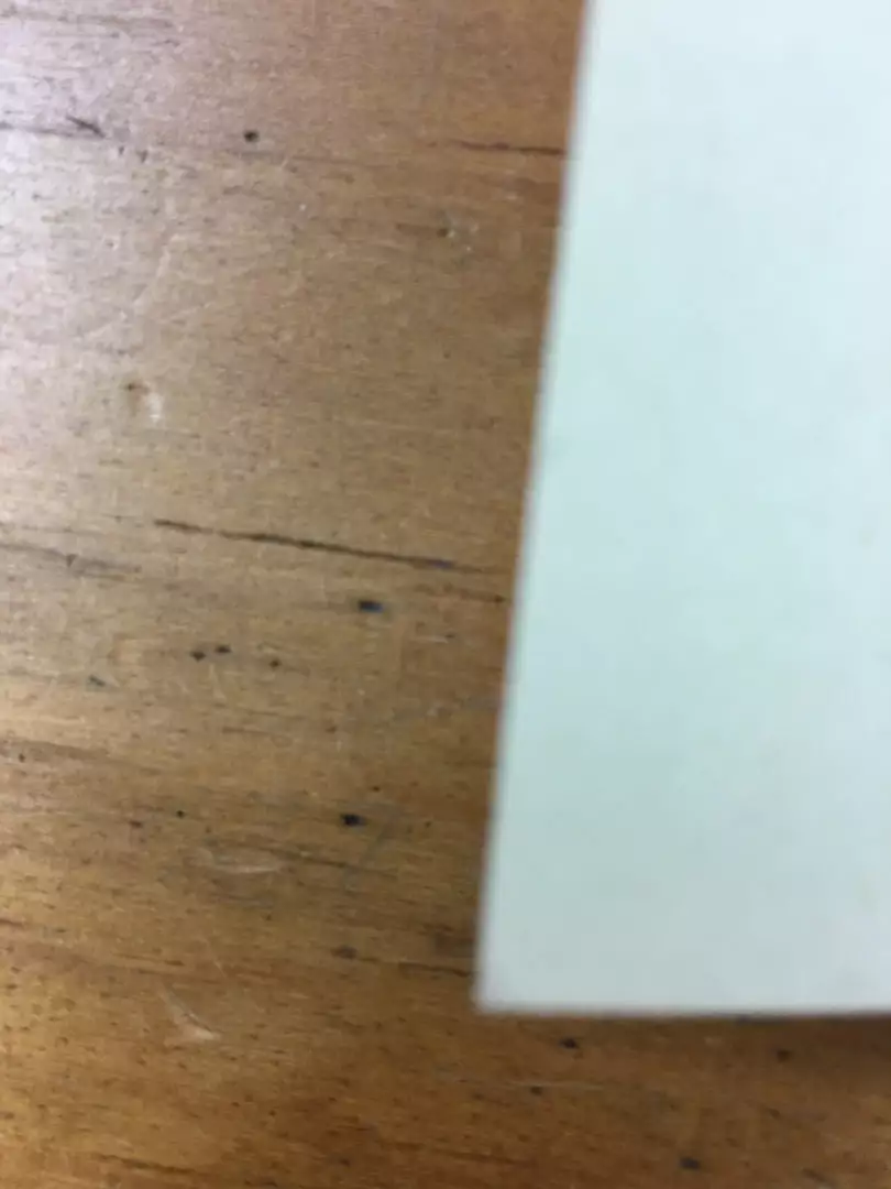 The Dead Weather - 2009 Methane Studios Poster Vancouver Commodore Ballroom Gig Posters 9 The Dead Weather - 2009 Methane Studios Poster Vancouver Commodore Ballroom Gig Posters