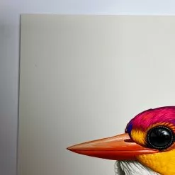 Fat Bird - 2020 Mike Mitchell Poster Rufous-Backed Dwarf Kingfisher AP Art Prints 10 Fat Bird - 2020 Mike Mitchell Poster Rufous-Backed Dwarf Kingfisher AP Art Prints