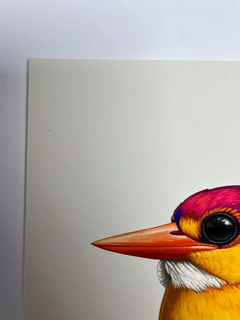 Fat Bird - 2020 Mike Mitchell Poster Rufous-Backed Dwarf Kingfisher AP Art Prints 5 Fat Bird - 2020 Mike Mitchell Poster Rufous-Backed Dwarf Kingfisher AP Art Prints