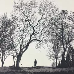 Wish You Were Here - 2011 Dan McCarthy Poster Art Print Art Prints