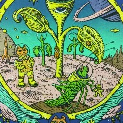 Umphrey's McGee - 2013 David Welker Poster Madison, WI Orpheum Theatre Gig Posters