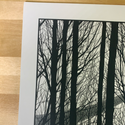 The Lost World - 2010 Dan McCarthy Poster Art Print Art Prints