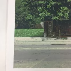 Flatstock 40 - 2013 Dan MacAdam Crosshair Poster Chicago, IL Union Park