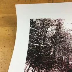 Soundgarden - 2013 Justin Hampton Poster Los Angeles Wiltern Theatre