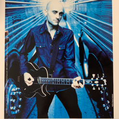 Michael Halsband The Wallflowers - Michael Ward Double Sided Poster Gibson Guitar USA