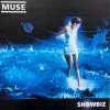 Sold Out Posters Gig Posters Muse - 1999 Original Vinyl Poster Insert 12.31x12.31 Record Art