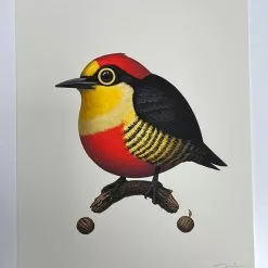 Art Prints Fat Bird - 2020 Mike Mitchell Poster Yellow Fronted Woodpecker AP