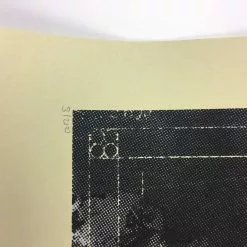 Gig Posters The Dead Weather - 2010 Mark McDevitt Poster Albuquerque, NM Sunshine Theatre