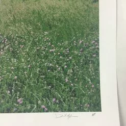 Art Prints Open City - 2011 Dan MacAdam Crosshair Poster Art Print