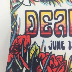 Dead & Company - 2018 Zeb Love Poster Hartford, CT Xfinity Theater Gig Posters