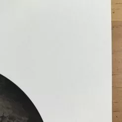 Fat Bird - 2017 Mike Mitchell Poster Himalayan Bulbul Art Prints 12 Fat Bird - 2017 Mike Mitchell Poster Himalayan Bulbul Art Prints