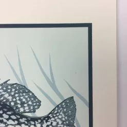 Black Crappie (Pomoxis Nigromaculatus) - 2015 Justin Santora Poster Art Print