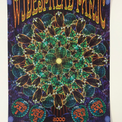 BGP 241 Widespread Panic - 2000 Chris Shaw The Warfield Theatre San Fran 1st Gig Posters