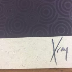 Gig Posters Bob Dylan - 2013 Xray Poster Art Print